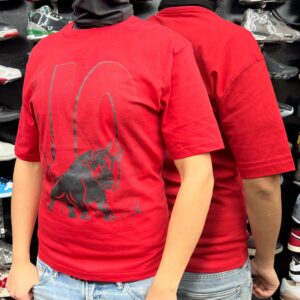 Polera Jordan Retro 4 Toro