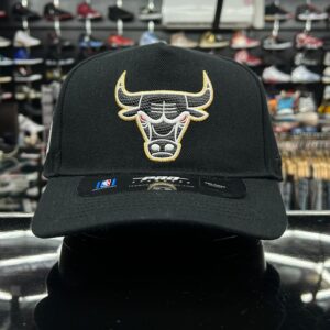 Gorro Pro Standard Chicago Bulls Retro 12 Taxi